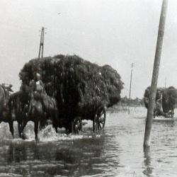Boerenleven tijdens WOII