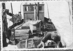 Garnaalvisserij te Doel