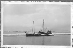 Visserskotter in de haven van Doel