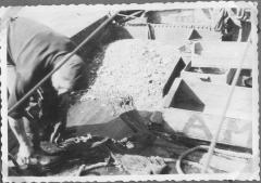 Visvangst met Kotter