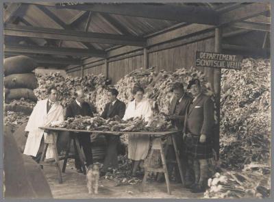 Haarsnijderij Epouse Jacobs: departement Schotse vellen