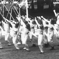 Reynaertspel 1985, dansgroepen Clapaja