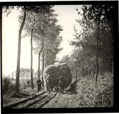 Hooiwagen langs de Durmebeemden