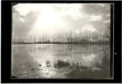 Overstroomde hooilanden van de Durme