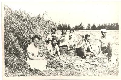 Familie Hubrecht verpozend op de akker