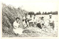 Familie Hubrecht verpozend op de akker