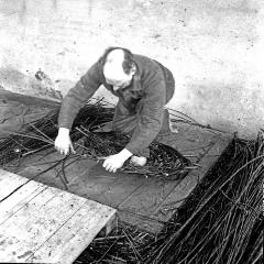 Gust de mandenvlechter