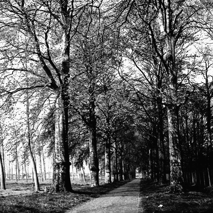 100 Kasteeldreef Haasdonk.jpg