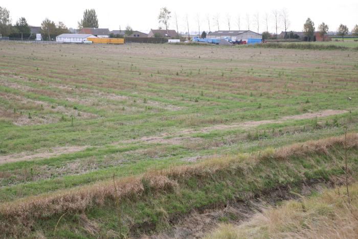 Polderzicht met bewoning