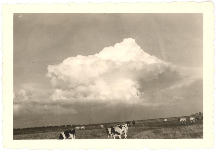 Ketenispolder, richting Kruisschans en Boudewijnsluis