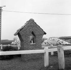 Muurkapelletje, Stekene